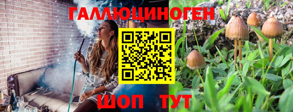 Геленджик  Галлюциногенные грибы прущие грибы  Вход с VPN 